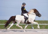 Islandpferdehof Bleikur - Carola Orend